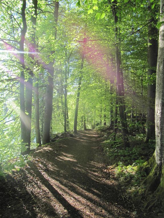 Вілла Bauernhof Unterhoefner Гоф-бай-Зальцбург Екстер'єр фото